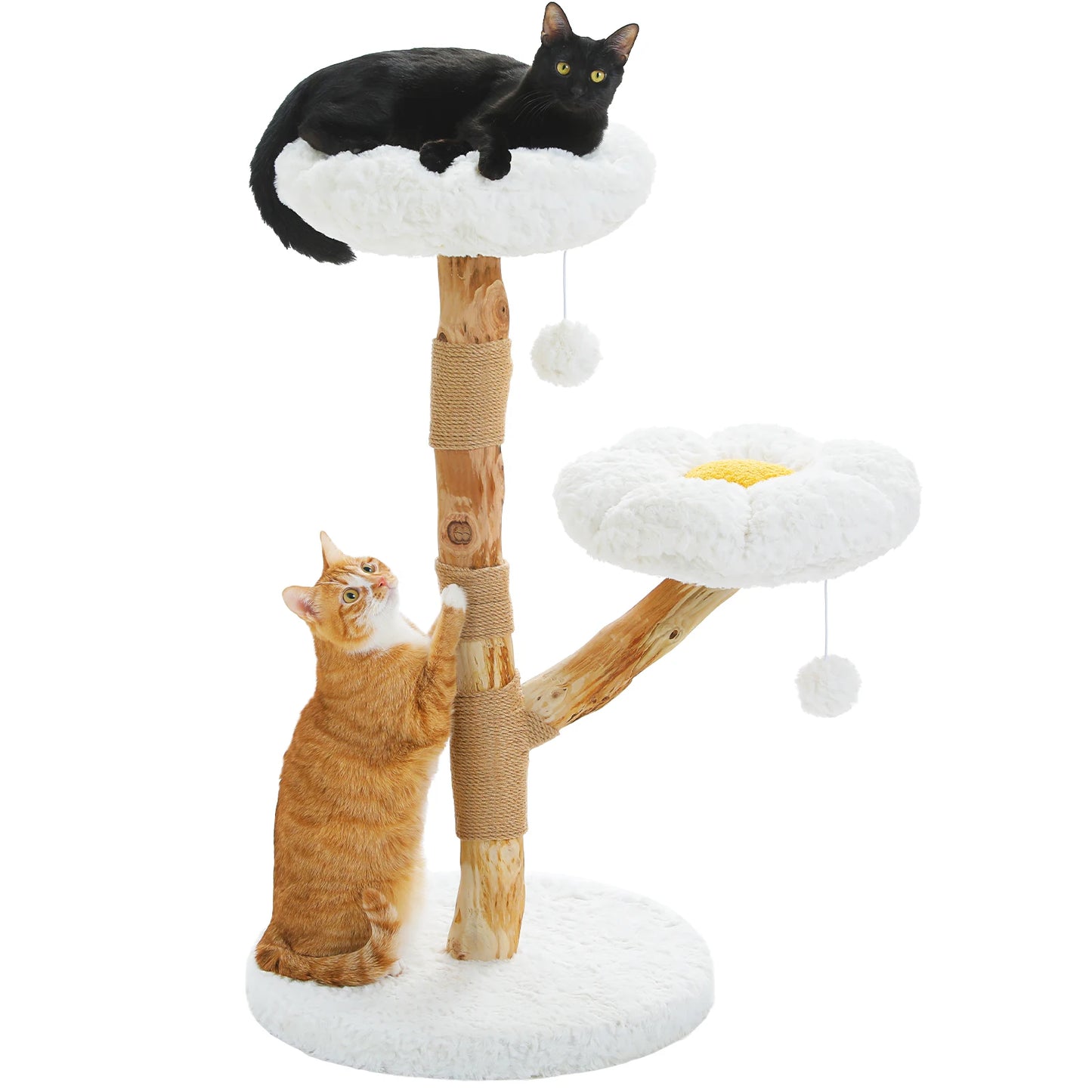 Modern Cat Tree Tower with Natural Solid Wood