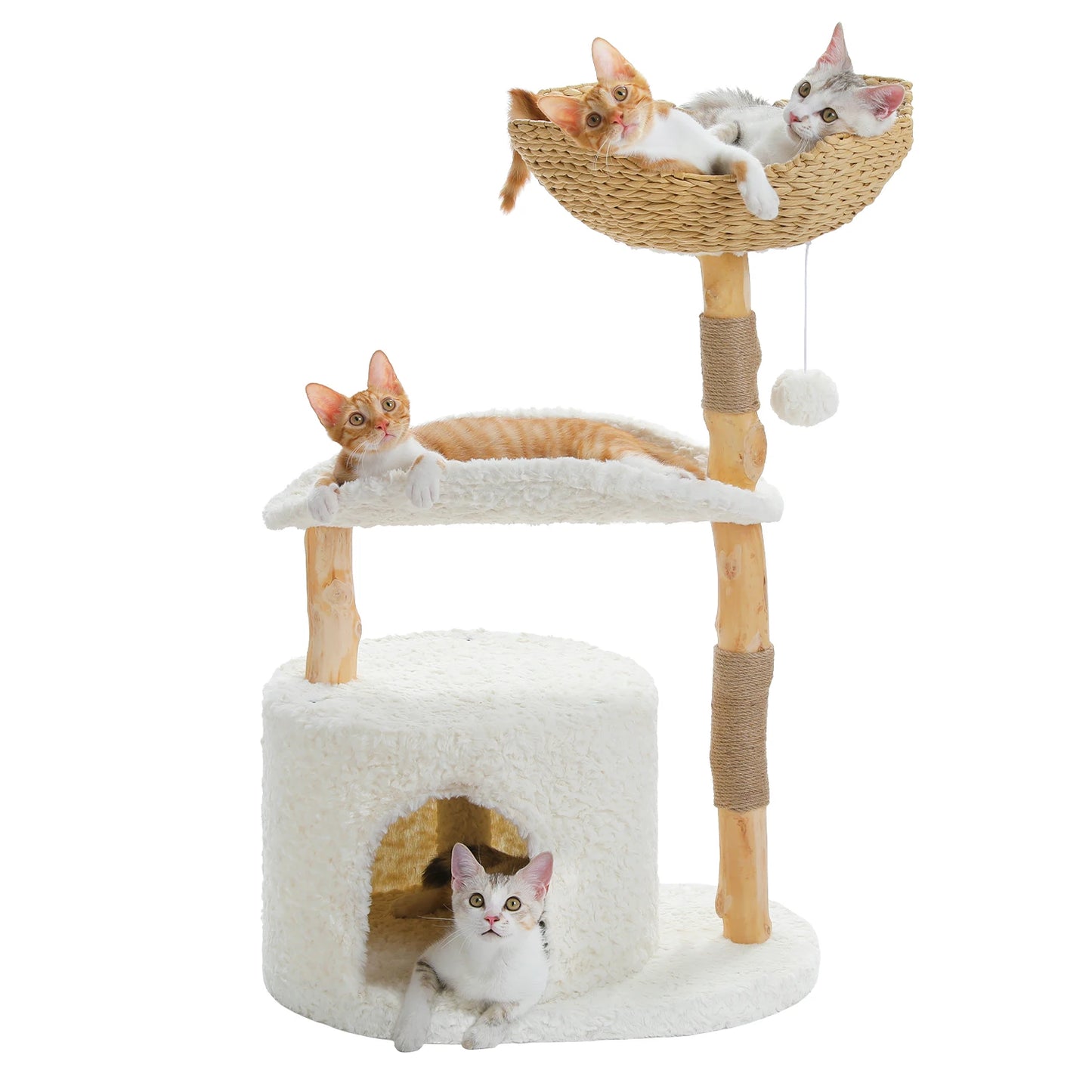 Modern Cat Tree Tower with Natural Solid Wood