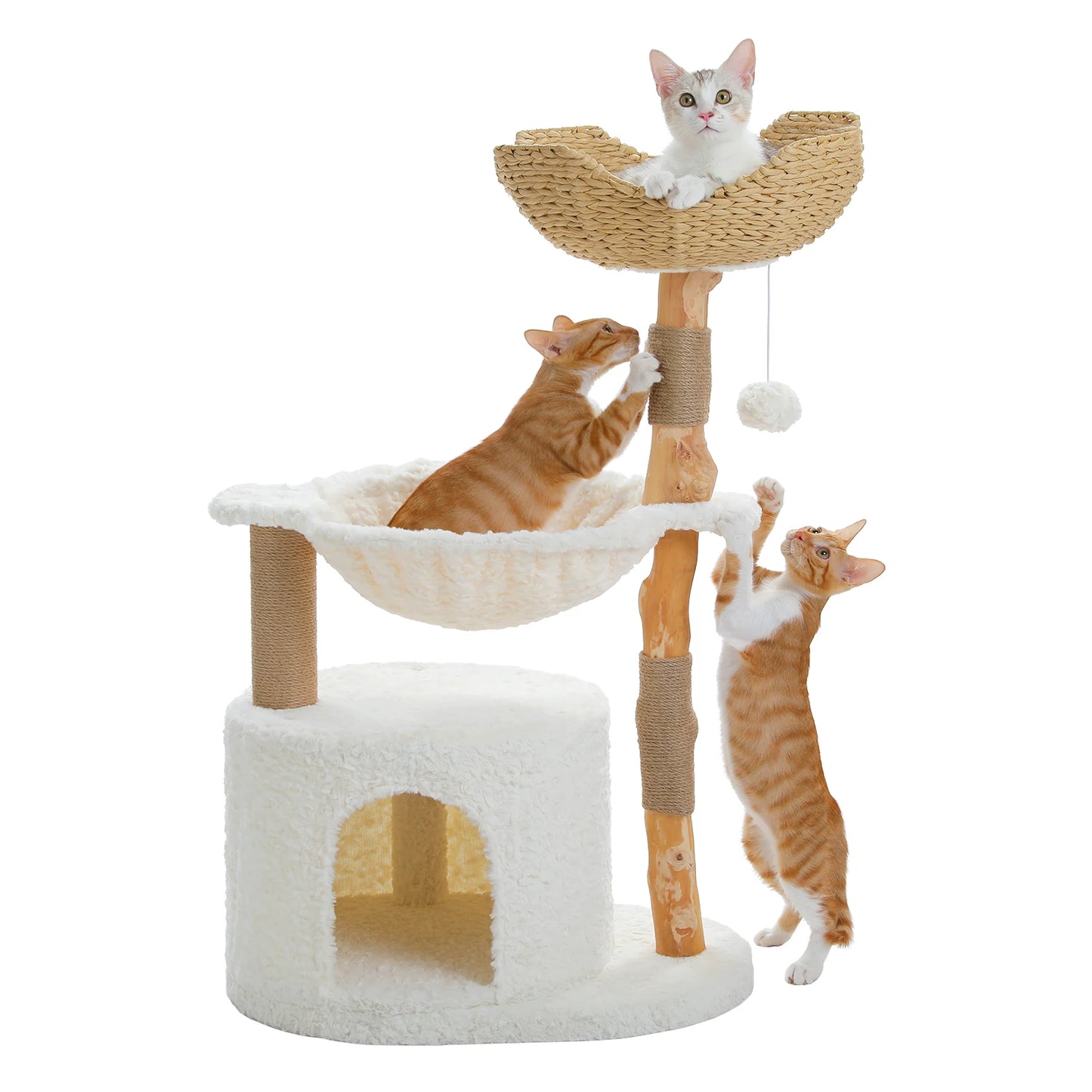 Modern Cat Tree Tower with Natural Solid Wood