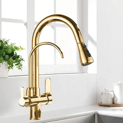 Black and Golden Filtered Crane For Kitchen Pull Out Sprayer