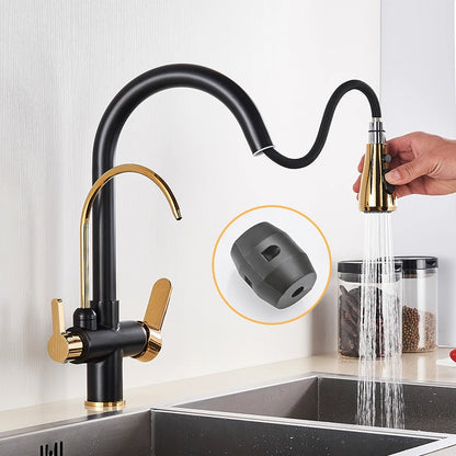 Black and Golden Filtered Crane For Kitchen Pull Out Sprayer