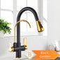 Black and Golden Filtered Crane For Kitchen Pull Out Sprayer