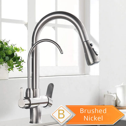 Black and Golden Filtered Crane For Kitchen Pull Out Sprayer