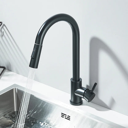 Black Pull Out Kitchen faucet