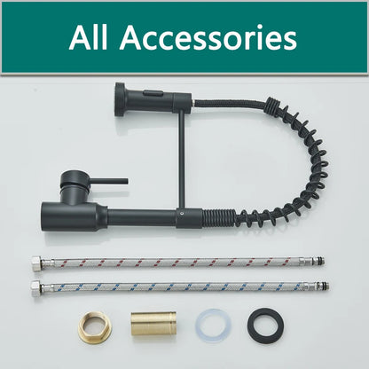 Shinesia Black Kitchen Faucet Stainless Steel