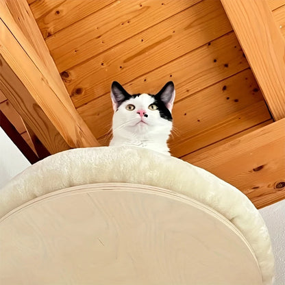 Cat Wall Mounted Solid Wooden Furniture