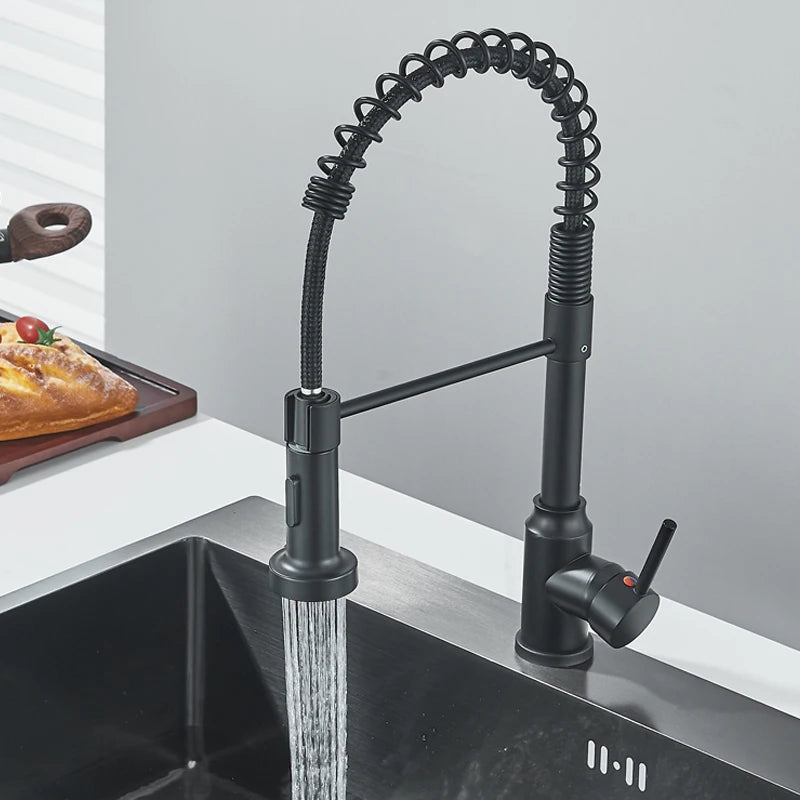 Shinesia Black Kitchen Faucet Stainless Steel