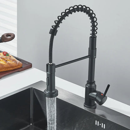 Shinesia Black Kitchen Faucet Stainless Steel