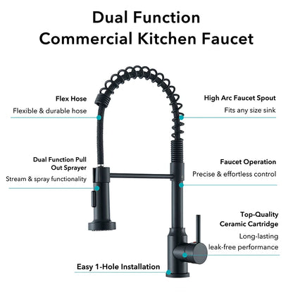 Shinesia Black Kitchen Faucet Stainless Steel