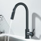 Pull Out Kitchen Faucet