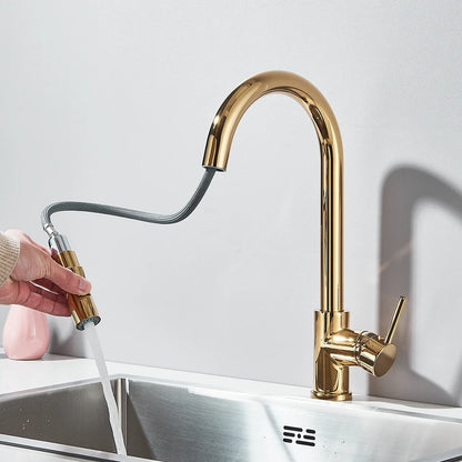 Pull Out Kitchen Faucet