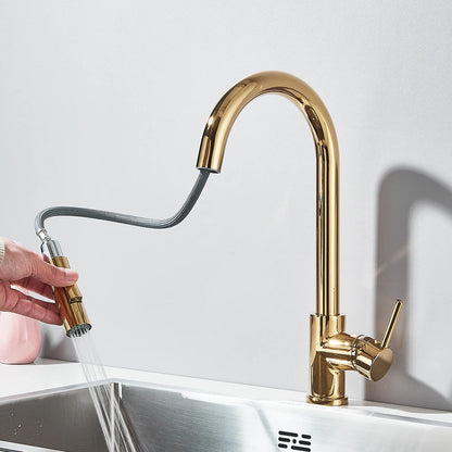 Pull Out Kitchen Faucet