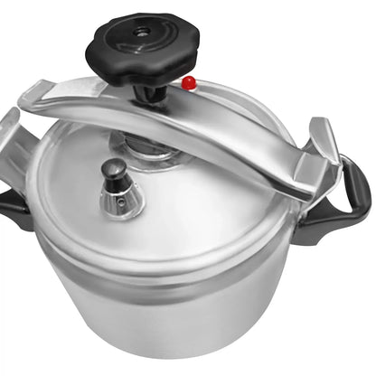 3.17 Quart Mini Pressure Cooker